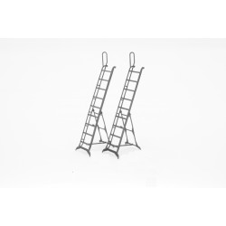 LP48061 Mig-25PU ladder set